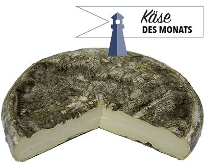 Mons Sainte Nectaire