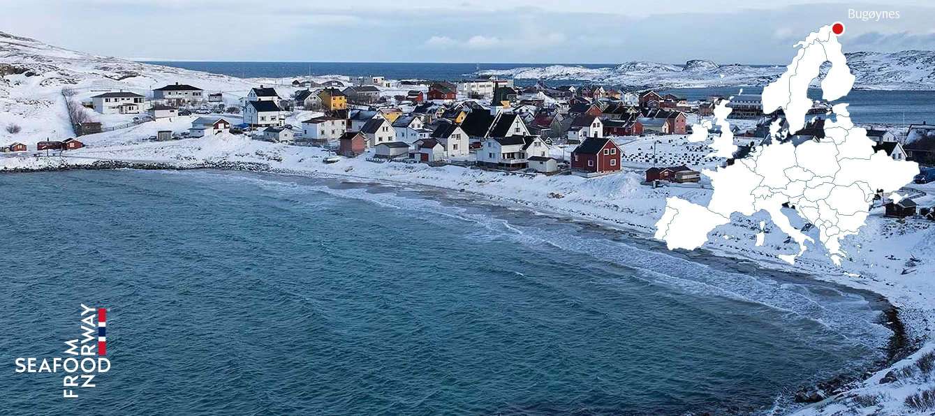 Bugøynes