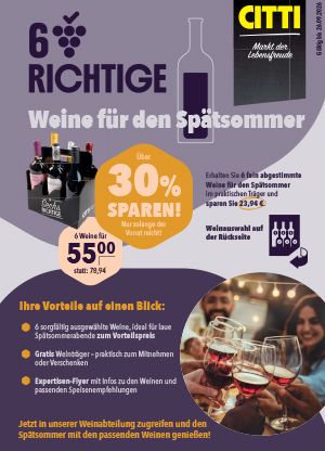 Sechs Richtige Flyer