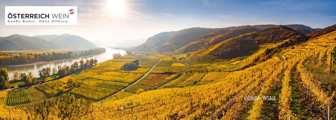 Verkostung und Weinkönigin