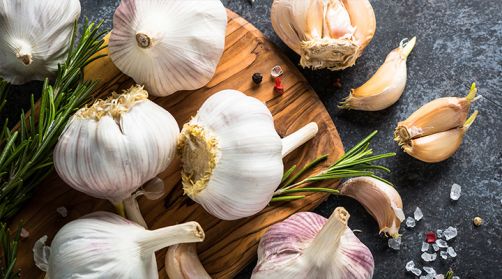 Knoblauch – die tolle Knolle