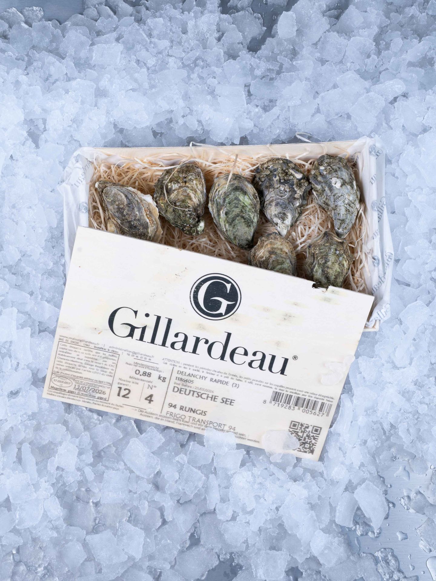 Gillardeau Austern