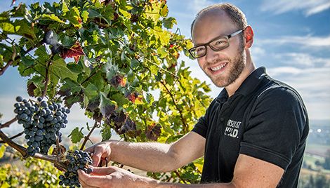 Winzer mit Leidenschaft