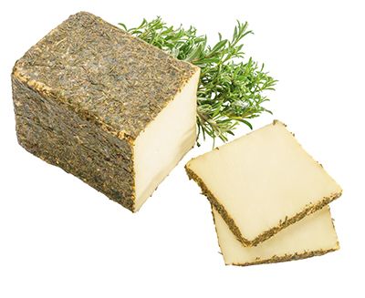 Käse „Tief im Wald“ | 1001 Gewürze