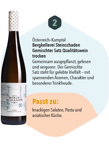 Österreich–Kamptal Bergkellerei Steinschaden Gemischter Satz Qualitätswein  trocken