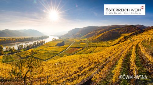 Weine aus Österreich