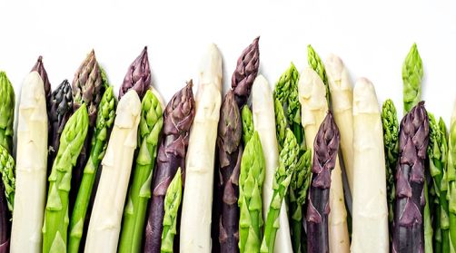 Spargel-Vielfalt