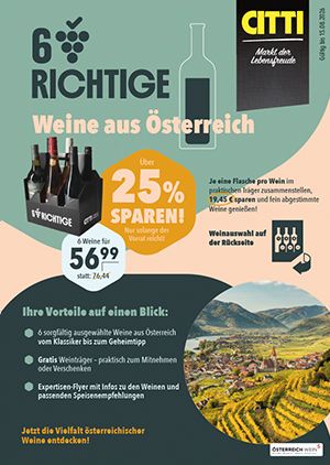 Sechs Richtige Flyer