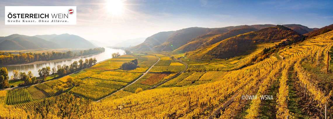 Weine aus Österreich