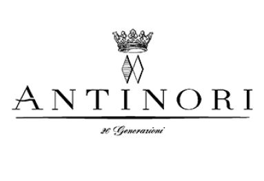 Unsere Partner