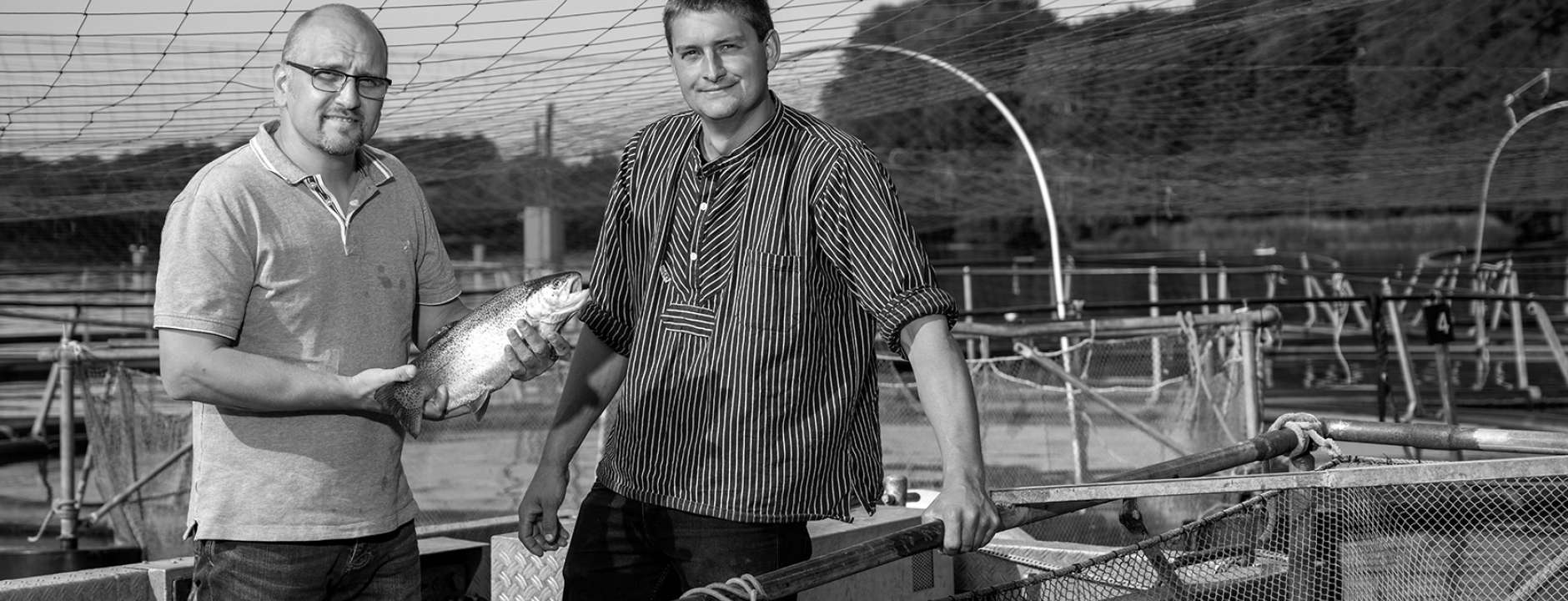 Fischerei Brauer
