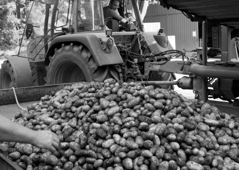 Christiansen's Biolandhof, Silberstedt