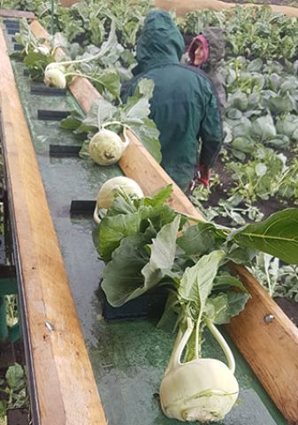 Christiansen's Biolandhof