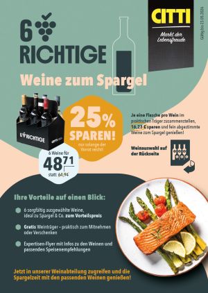 Sechs Richtige Flyer