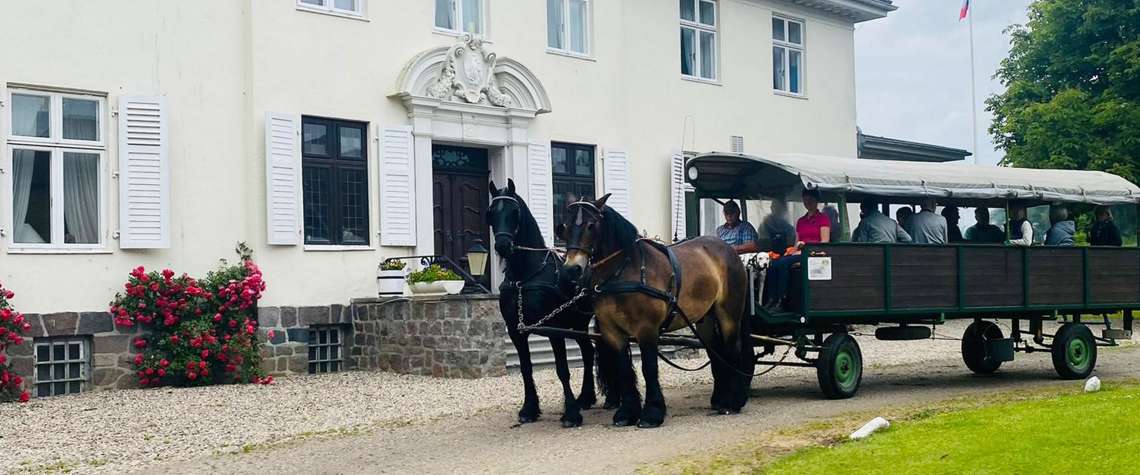 Himbeerhof Steinwehr