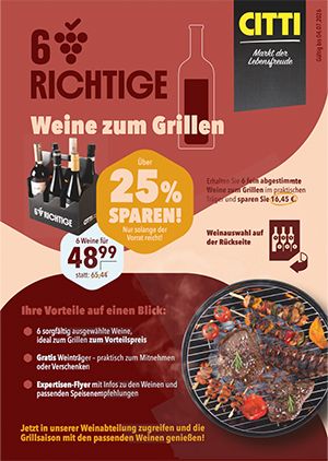 Sechs Richtige Flyer
