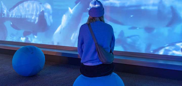 SEALEVEL Kiel - Ausstellung mit Tiefgang