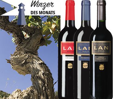Bodegas LAN
