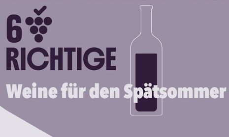 Sechs Richtige Wein-Aktion