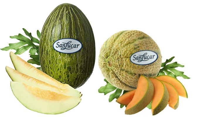 Gratis Verkostung fruchtig-süßer SanLucar Melonen