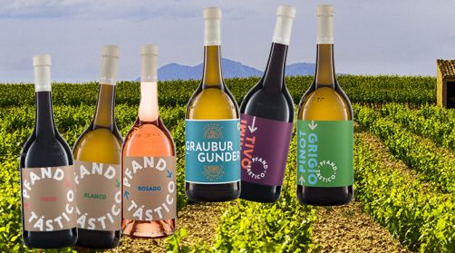 Bio-Wein in Mehrwegflaschen