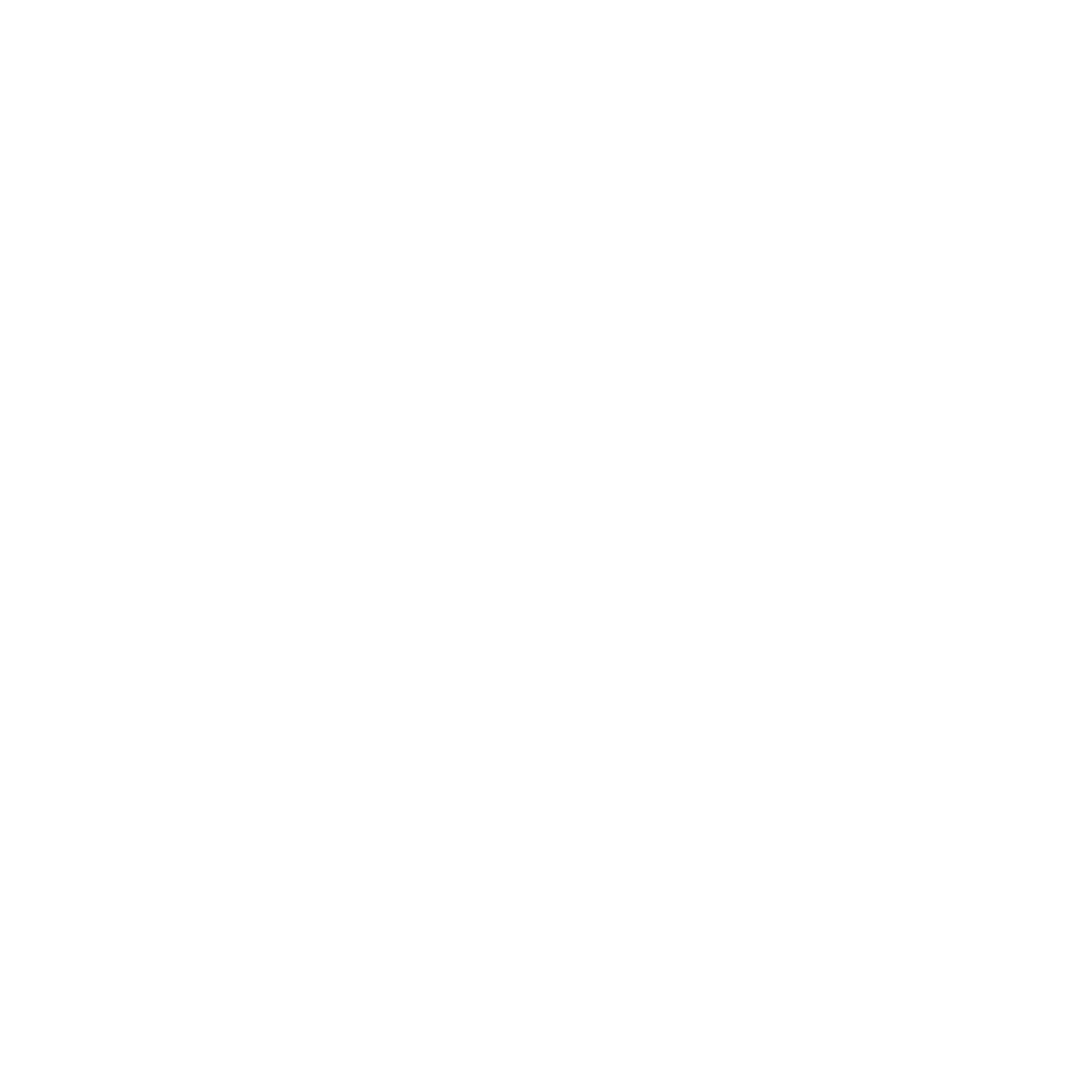 CITTI Erlebnis Klinke weiß